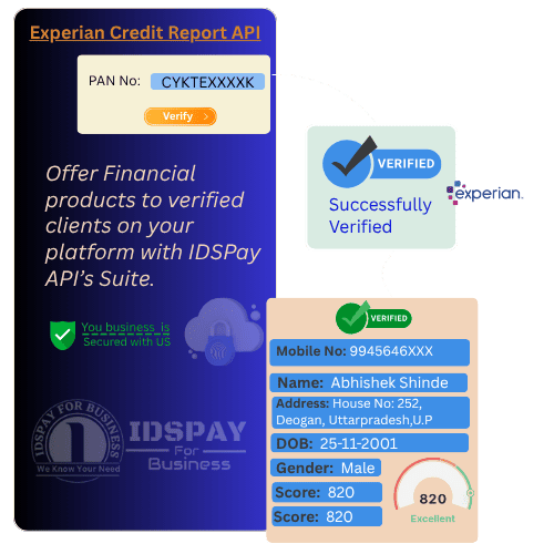 Experian credit report API